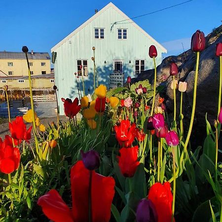 Lysvoldbrygga Bed and Breakfast Henningsvær Zewnętrze zdjęcie