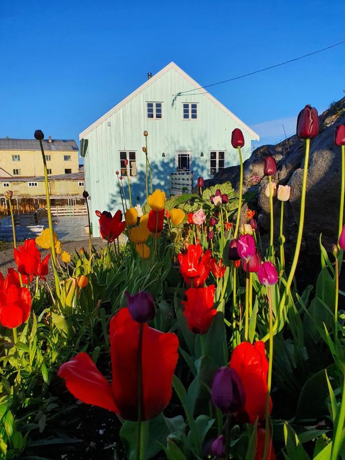 Lysvoldbrygga Bed and Breakfast Henningsvær Zewnętrze zdjęcie