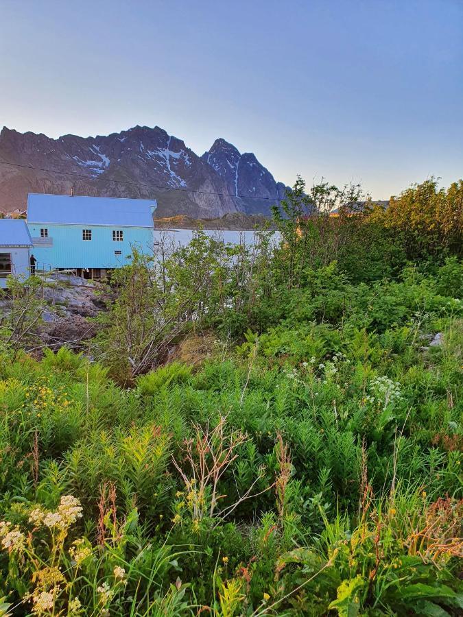 Lysvoldbrygga Bed and Breakfast Henningsvær Zewnętrze zdjęcie